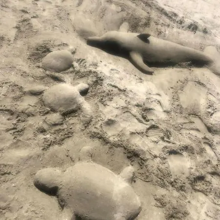 Maison Bord De * Фронтиньян