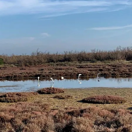 Maison Bord De * פרונטיניאן