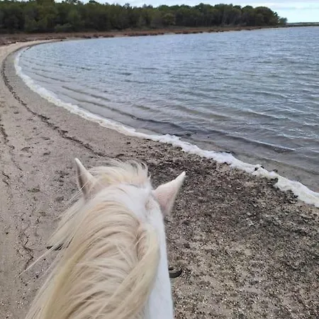 בית נופש Maison Bord De פרונטיניאן