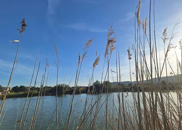 Maison Bord De Frontignan