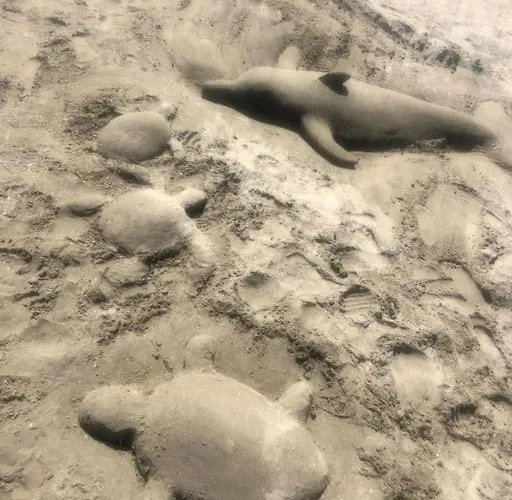 Maison Bord De * Frontignan