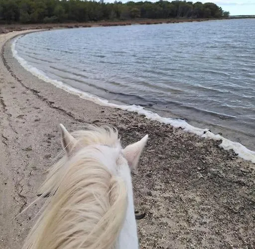 Ferienhaus Maison Bord De Frontignan